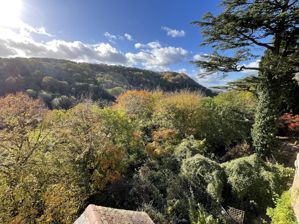 Autumn colour across the Ironbridge Gorge